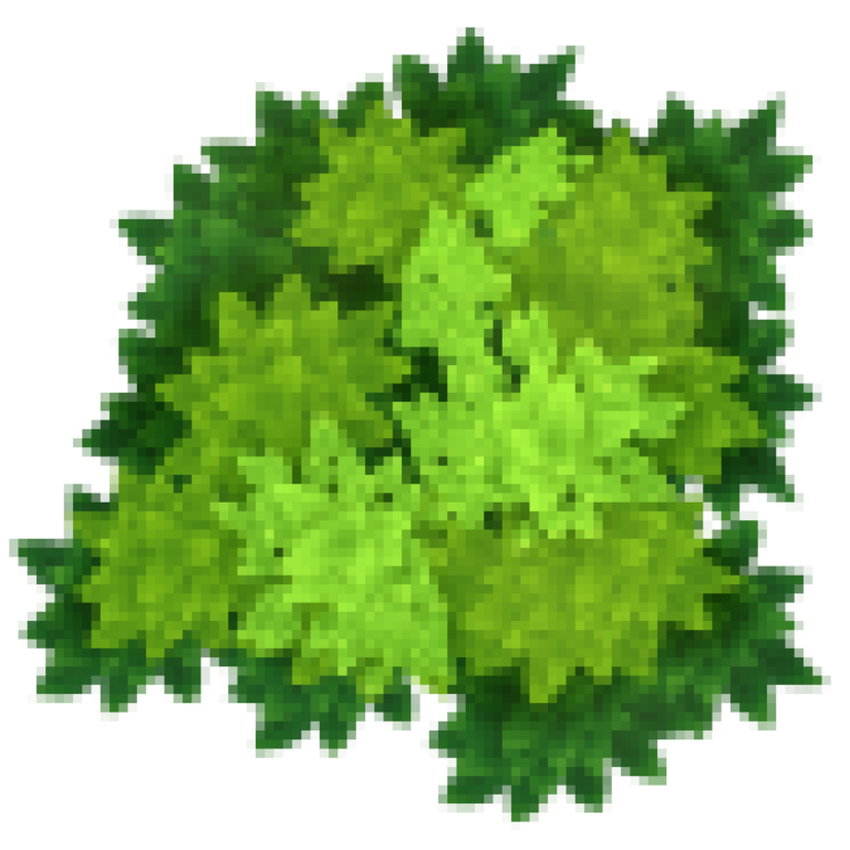 grass