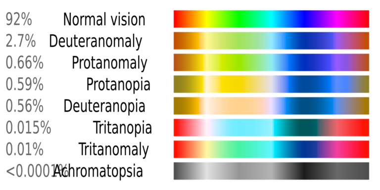 Color Vision Deficiency (CVD) Simulation Shader