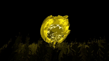 A magical anomaly
