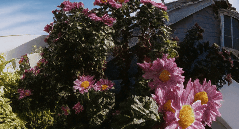 Super Mario World Transition